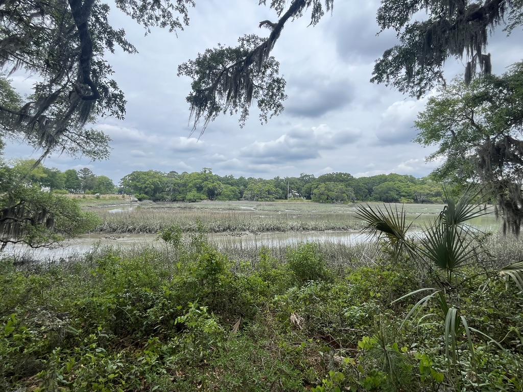 Salt Marsh on John’s Island, SC